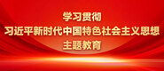 操逼逼网站视频学习贯彻习近平新时代中国特色社会主义思想主题教育_fororder_ad-371X160(2)